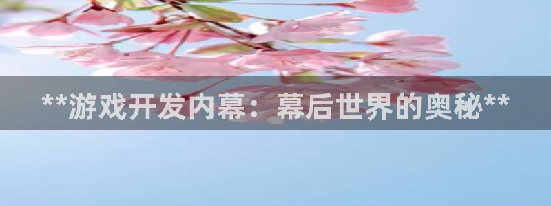 沐鸣娱乐2登陆不上怎么办