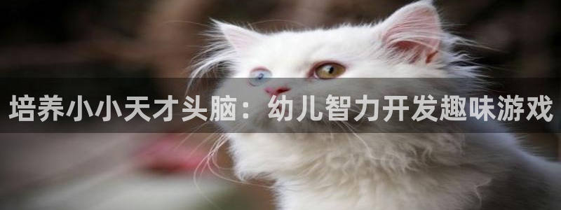 沐鸣娱乐2可靠吗