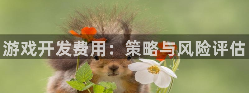 沐鸣2平台登录线路：游戏开发费用：策略与风险评估