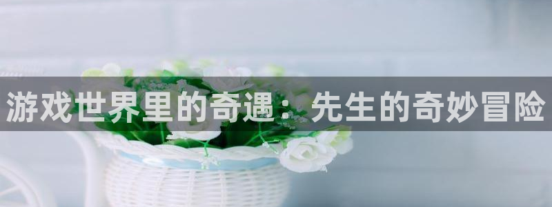沐鸣2官网网址：游戏世界里的奇遇：先生的奇妙冒险