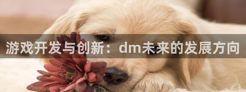 沐鸣娱乐2在线注册：游戏开发与创新：dm未来的发展方向