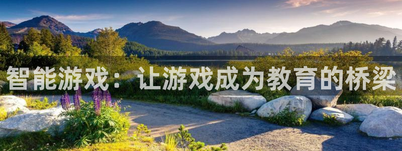 沐鸣娱乐2登录地址：智能游戏：让游戏成为教育的桥梁