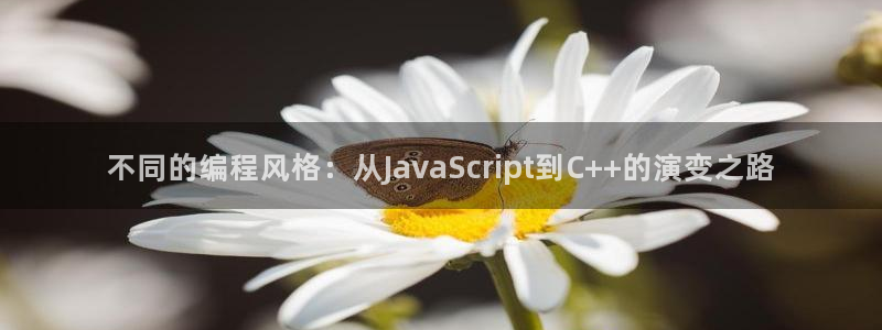 沐鸣2平台开户：不同的编程风格：从JavaScript到C++的演变之路