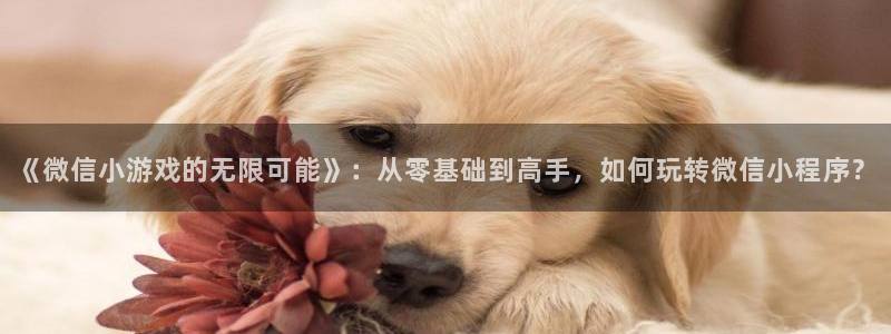 沐鸣娱乐2登录平台官网下载：《微信小游戏的无限可能》：从零基础到高手，如何玩转微信小程序？