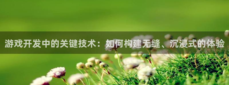 沐鸣2app下载：游戏开发中的关键技术：如何构建无缝、沉浸式的体验