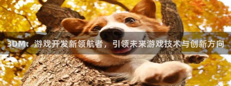 沐鸣娱乐2手机下载：3DM：游戏开发新领航者，引领未来游戏技术与创新方向