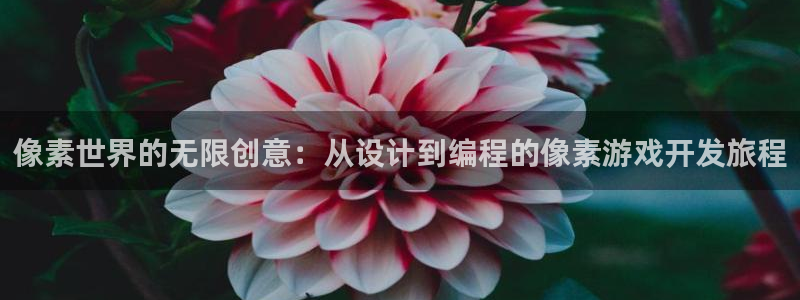 沐鸣2平台官网：像素世界的无限创意：从设计到编程的像素游戏开发旅程
