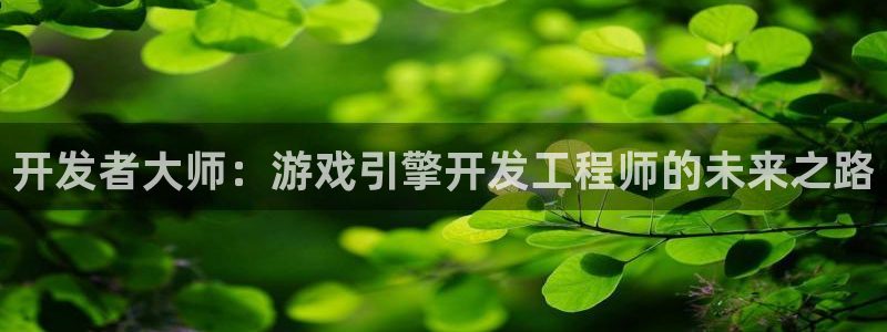 沐鸣2登录官方登录网站：开发者大师：游戏引擎开发工程师的未来之路