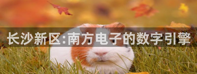 沐鸣娱乐2注册平台：长沙新区:南方电子的数字引擎